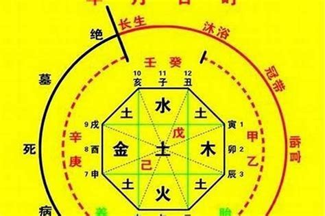 喜木火|八字喜火是什么意思